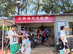 -红树林天天赶海
