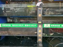 -好灶头妈妈菜·千岛湖柴火鱼餐厅(桐庐店)