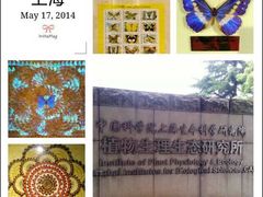 -上海昆虫博物馆
