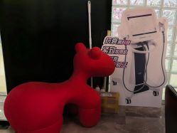 点击看大图 -玛莲朵·海菲秀冰珀科