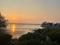 -宝安西湾红树林湿地公园