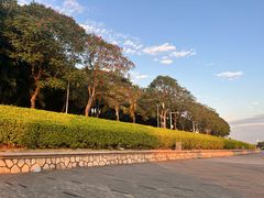 -深圳湾公园(南山区)