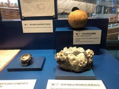 -上海中国航海博物馆