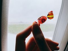 -谢列梅捷沃国际机场