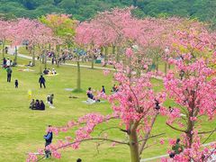 -风云岭森林公园