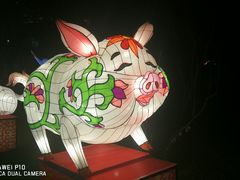 -金城公园