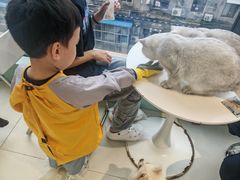 -怪兽屋·羊驼·猫咖·狗咖(俊华广场店)