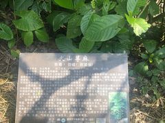 -海口火山口国家地质公园