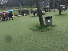 -保利石象湖景区
