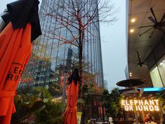 -大象园 ELEPHANT GROUNDS(广州太古汇店)