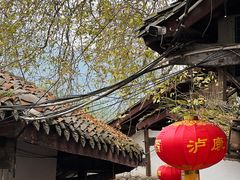 -后柳水乡