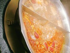 台式麻辣花胶鸡鸳鸯锅-湊湊火锅·茶憩(世博大道店)