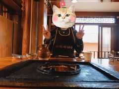 -滇藏石锅宴(北门坡古城管理局店)