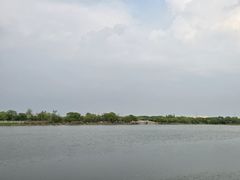-君豪蟹都·湖景·农家乐(蟹舫苑店)