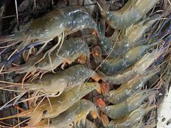 -芭提雅Amporn Seafood自助餐厅