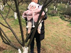 -爱的果实月嫂育婴师(世纪东方店)