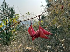 -北京西山国家森林公园