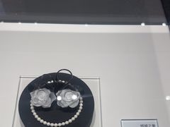 -BLACKSWAN黑天鹅(新希望店)