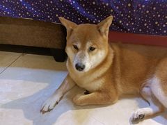 -萌喵咖啡屋(人民东路4号口M16商铺店)