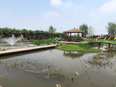 -同銮特种养殖场·龙虾垂钓