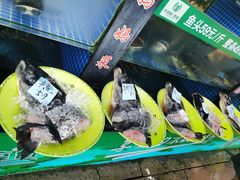 -好灶头妈妈菜·千岛湖柴火鱼餐厅(桐庐店)