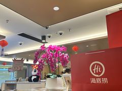 -海底捞火锅(旭辉MALL店)