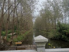 -合肥滨湖国家森林公园