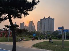 -青岛金沙滩