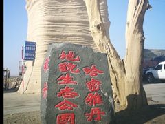 -哈密雅丹大海道景区