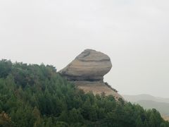 -磬锤峰森林公园