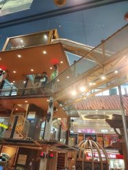 -卡通尼·Safari非洲探索乐园·生日会(金桥国际商业广场店)