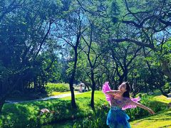 -人民公园(罗湖区)