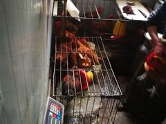 -老家柴火鸡(益州路店)