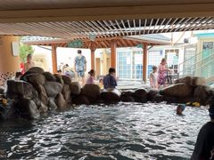 -极乐汤(川沙店)