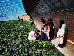 -天津东丽湖风景区