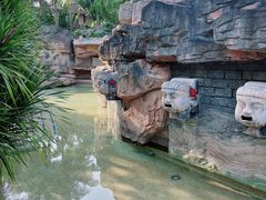 -海口观澜湖火山温泉谷