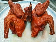 鸽鸟轩的鸽子-鸽鸟轩(石岐店)