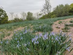 -北京西山国家森林公园