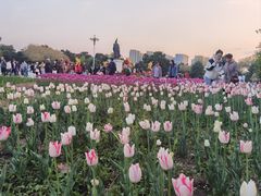 -北陵公园