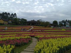 -保利石象湖景区