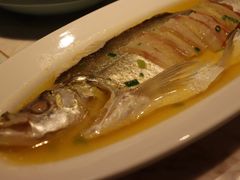 鸡汁白鱼-淮扬韵(凤八市政府店)