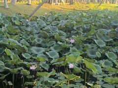 -白沙门生态公园
