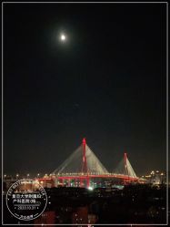 -复旦大学附属妇产科医院(杨浦院区)