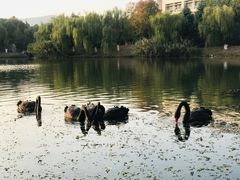 -江南大学(蠡湖校区)