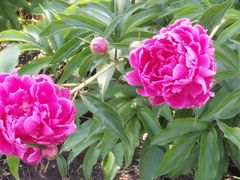 -长春公园(普阳街道)