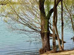 -济南国际园博园