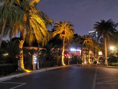 -圣爵菲斯大酒店(长沙世界之窗店)