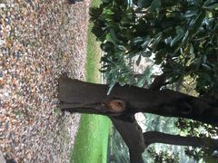 上海瑞金洲际酒店-上海瑞金洲际酒店