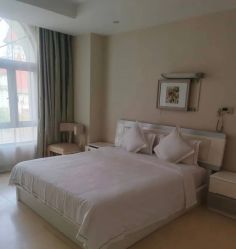 -上海美兰湖妇产科医院