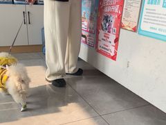 -瑞派长江宠物医院·猫科·外科·24小时夜护(谊城公寓分院)